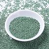 MIYUKI Delica Beads SEED-X0054-DB1171-2