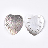 Black Lip Shell Pendants SHEL-S274-78-3
