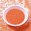MIYUKI Delica Beads X-SEED-J020-DB2047-2
