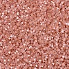 MIYUKI Delica Beads X-SEED-J020-DB1863-3