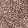 MIYUKI Delica Beads X-SEED-J020-DB0069-3