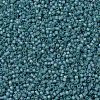 MIYUKI Delica Beads SEED-X0054-DB1283-3