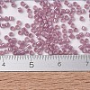 MIYUKI Delica Beads X-SEED-J020-DB1752-4