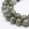 Natural Labradorite Beads Strands G-P322-28-10mm-3