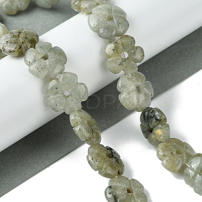 Natural Labradorite Beads Strands G-H023-B19-01-1