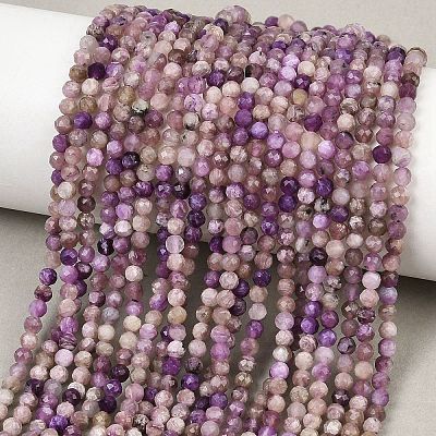 Natural Charoite Beads Strands G-B175-D15-3mm-1