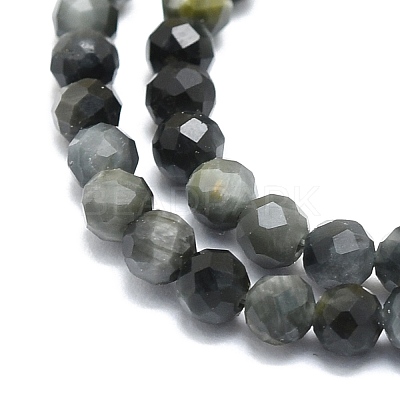 Natural Hawk's Eye Beads Strands G-P457-A03-06-1