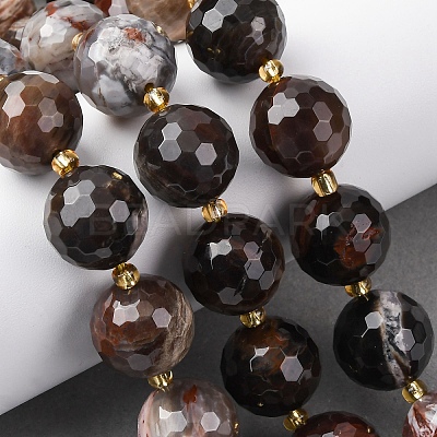 Natural Petrified Wood Beads Strands G-C249-A24-16MM-1
