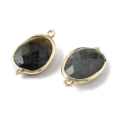 Natural Labradorite Faceted Oval Connector Charms G-H323-02G-09-1