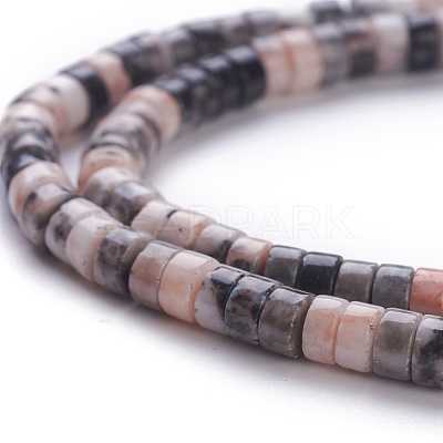 Natural Zebra Jasper Beads Strands G-H230-24-1