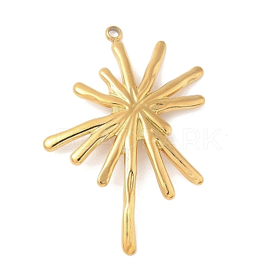 304 Stainless Steel Pendants STAS-L293-09B-G-1