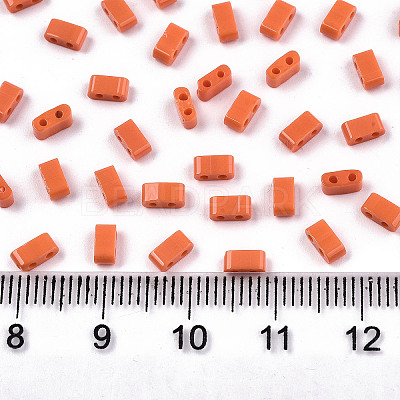 FGB 2-Hole Glass Seed Beads SEED-S031-M-SH50-1