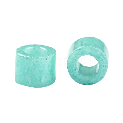 Cylinder Seed Beads X-SEED-H001-H03-1