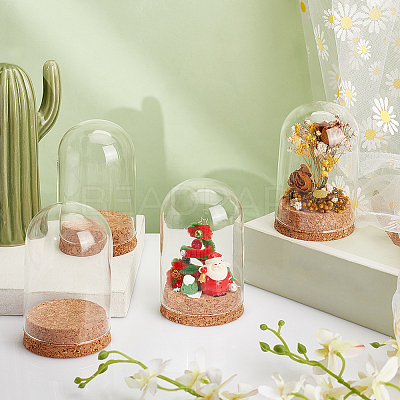 4 Sets Transparent Glass Dome Jar Cloche Display Cases AJEW-PH0011-24B-1