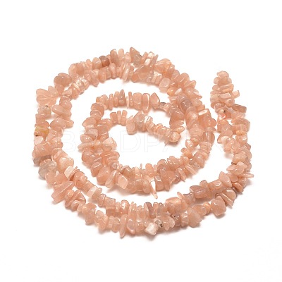 Natural Sunstone Chip Bead Strands X-G-M205-19-1