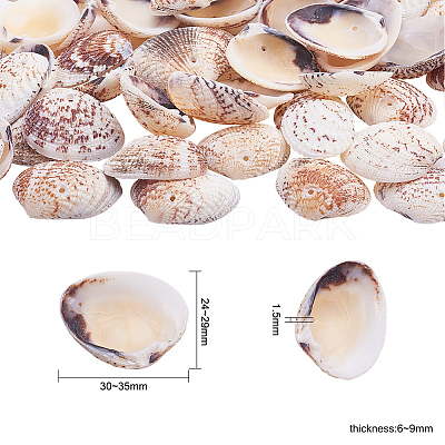 1 Box Scallop Seashells Clam Shell Dyed Beads with Holes for Craft Making 40-50pcs BSHE-YW0001-01-1