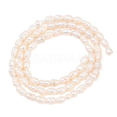 Natural Cultured Freshwater Pearl Beads Strands PEAR-D003-01D-04-1