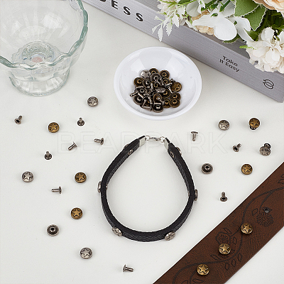 12 Bags 2 Colors Zinc Alloy Decorative Rivets FIND-FG0005-52B-1