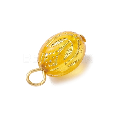 Transparent Acrylic Pendants PALLOY-JF04346-1