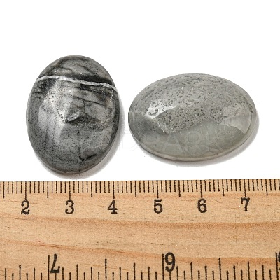 Natural Picasso Jasper Cabochons G-C115-01B-37-1