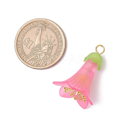 Transparent Acrylic Bead Caps PALLOY-JF03722-1