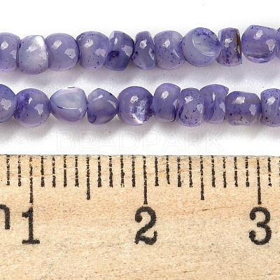 Natural White Shell Dyed Beads Strands BSHE-Z005-03C-1