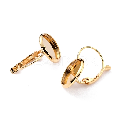 304 Stainless Steel Leverback Earring Settings X-STAS-F191-03G-16mm-1