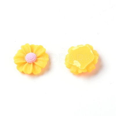 Resin Cabochons RESI-TAC0006-02A-02-1