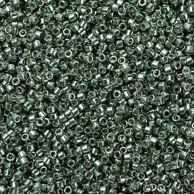 MIYUKI Delica Beads X-SEED-J020-DB1845-1
