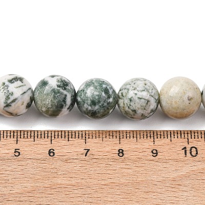 Natural Tree Agate Beads Strands G-T150-A09-12mm-1
