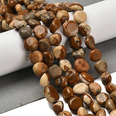Natural Picture Jasper Beads Strands G-P497-01E-59-1