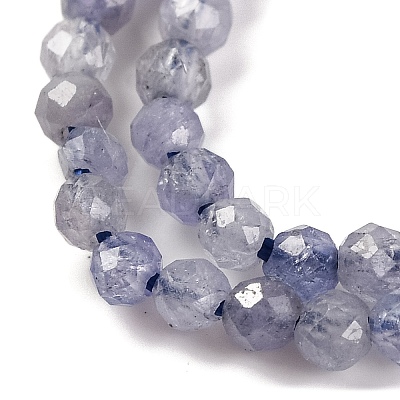 Natural Tanzanite Beads Strands G-F770-C04-03-1