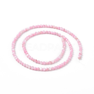 125Pcs Natural Freshwater Shell Beads SHEL-B002-01B-1