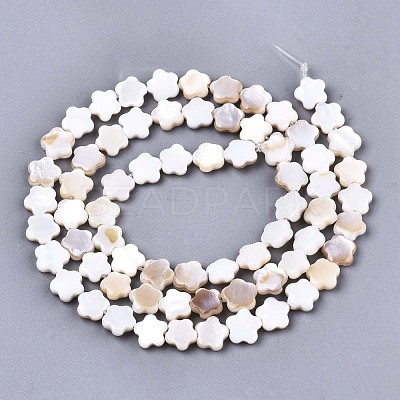 Natural Freshwater Shell Beads Strands SHEL-N027-02-1