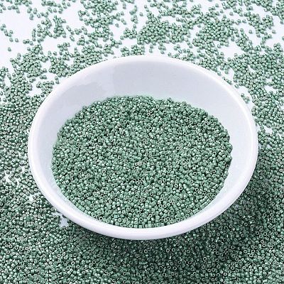 MIYUKI Delica Beads SEED-X0054-DB1171-1