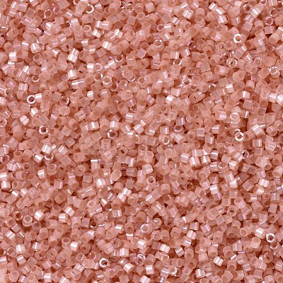 MIYUKI Delica Beads X-SEED-J020-DB1863-1