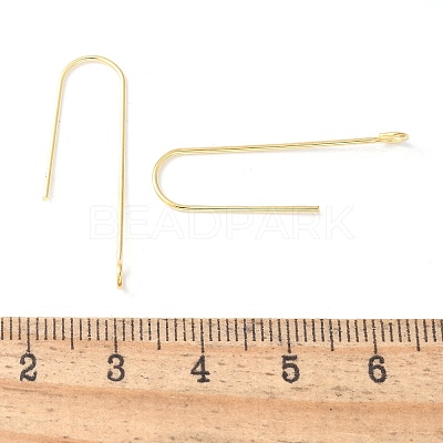 316 Surgical Stainless Steel Earring Hooks STAS-Z124-02D-G-1
