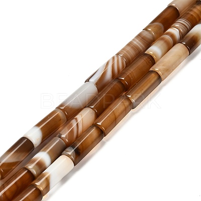 Dyed Natural Agate Beads Strands G-G203-01H-1