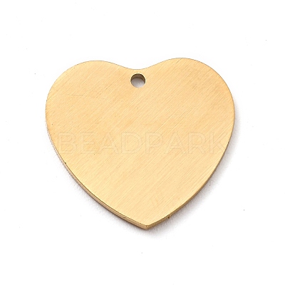 Ion Plating(IP) 304 Stainless Steel Pendants STAS-F271-06D-G-1
