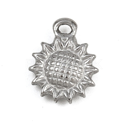 304 Stainless Steel Charms STAS-G363-12P-1