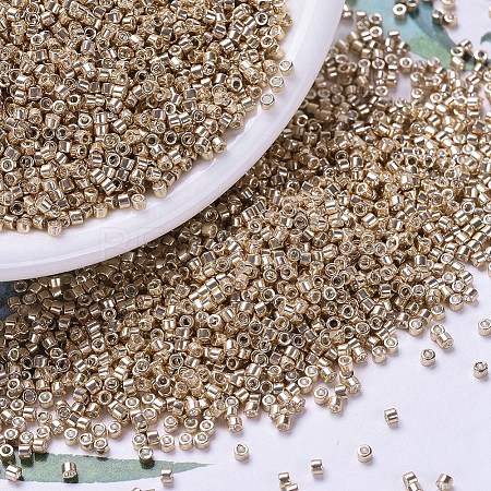 MIYUKI Delica Beads X-SEED-J020-DB0411-1