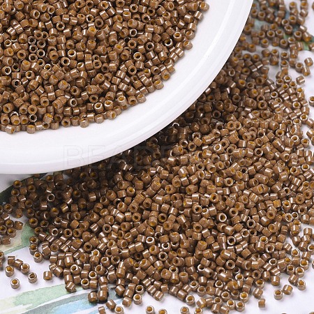 MIYUKI Delica Beads X-SEED-J020-DB0664-1