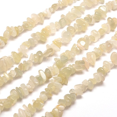 Natural White Moonstone Chip Bead Strands X-G-M205-65-1