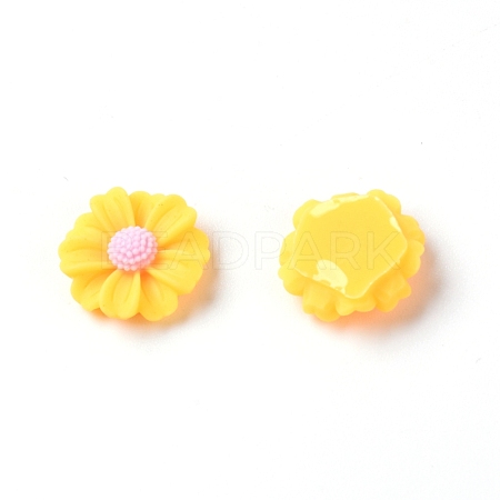 Resin Cabochons RESI-TAC0006-02A-02-1