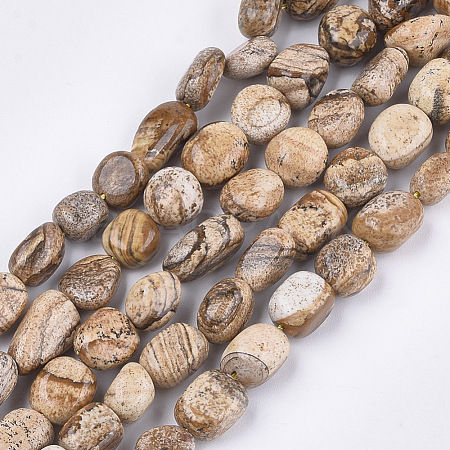 Natural Picture Jasper Beads Strands G-T105-38-1