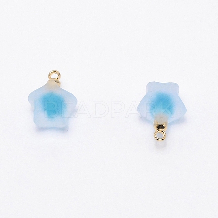 Resin Frosted Pendants MP-TAC0009-03I-1