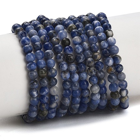Natural South Africa Sodalite Beads Strands LS-G-S259-35-4mm-1