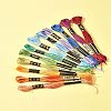 6-Ply Polyester Embroidery Floss OCOR-FZ0001-01A-9