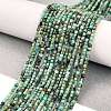 Natural African Turquoise(Jasper) Beads Strands G-A02-02-1
