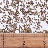 MIYUKI Delica Beads SEED-J020-DB0287-4